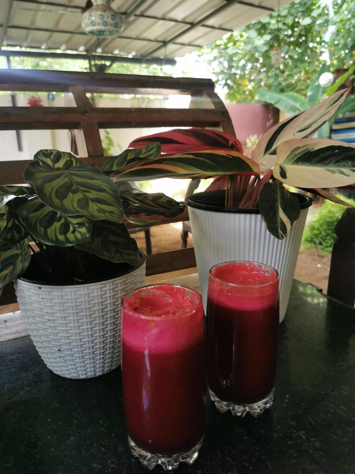 Jeehaa Homestay Alappuzha Kültér fotó