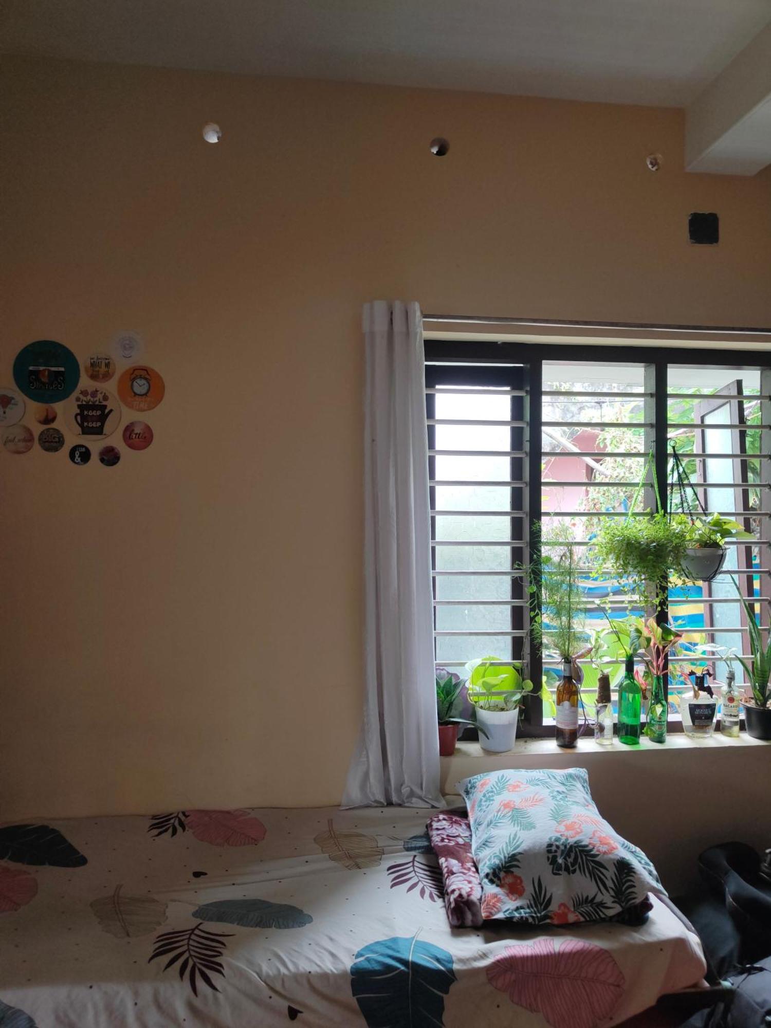Jeehaa Homestay Alappuzha Kültér fotó